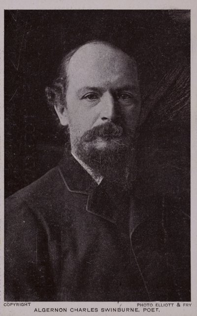 Algernon Charles Swinburne by English Photographer